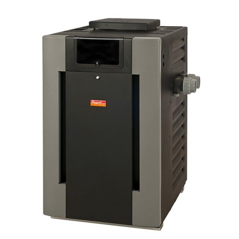 Raypak Digital atmospheric gas pool heater with ProTek Shield, dual-thermostat digital display, and heavy-duty steel cabinet on clean white background