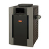 Raypak Digital Gas Pool & Spa Heater